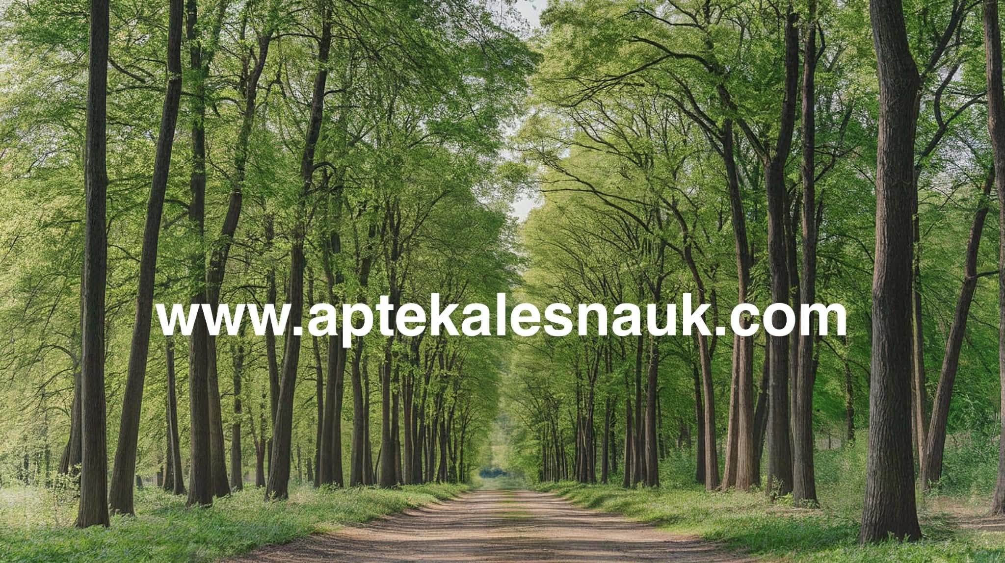 aptekalesnauk.com